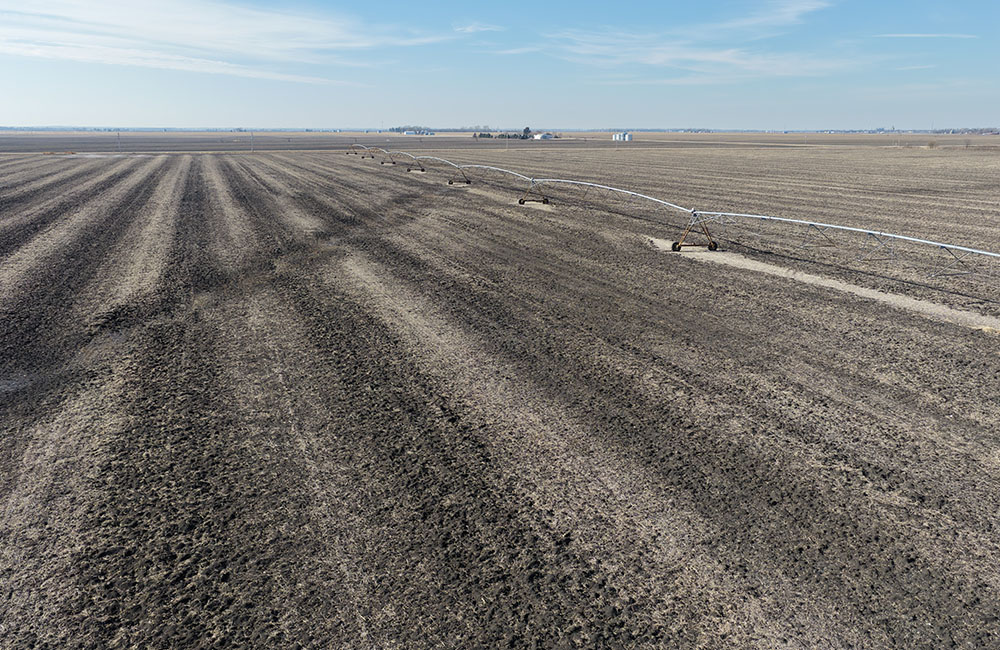 311_0004_DJI_20260209042909_0007_D