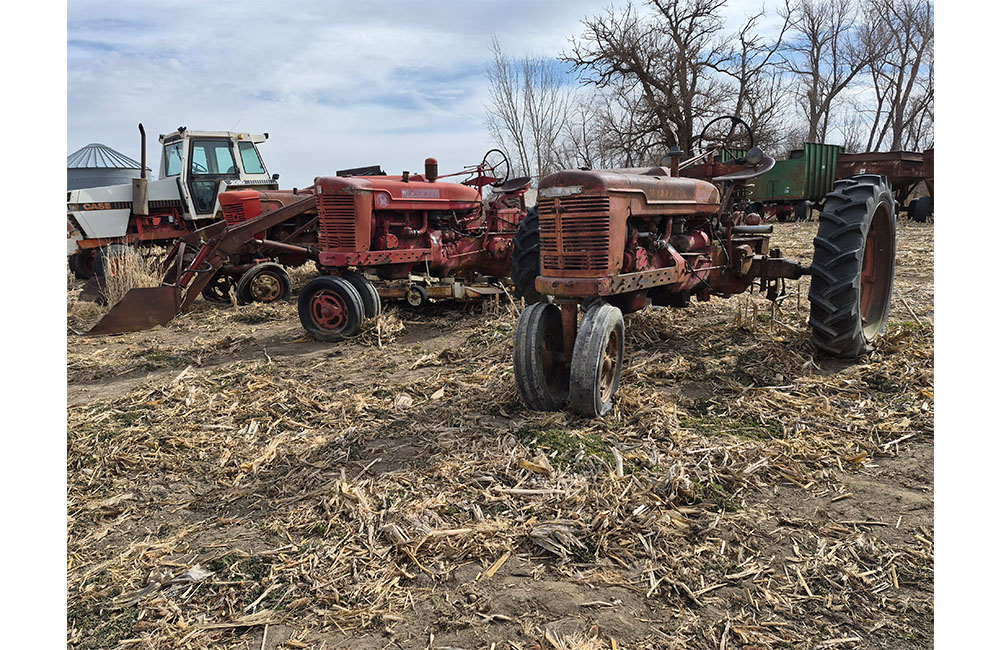 dm28_0008_20260209_130502