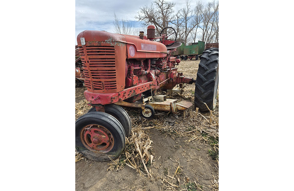 dm28_0010_20260209_130406