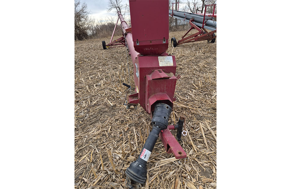 dm28_0039_20260209_123350