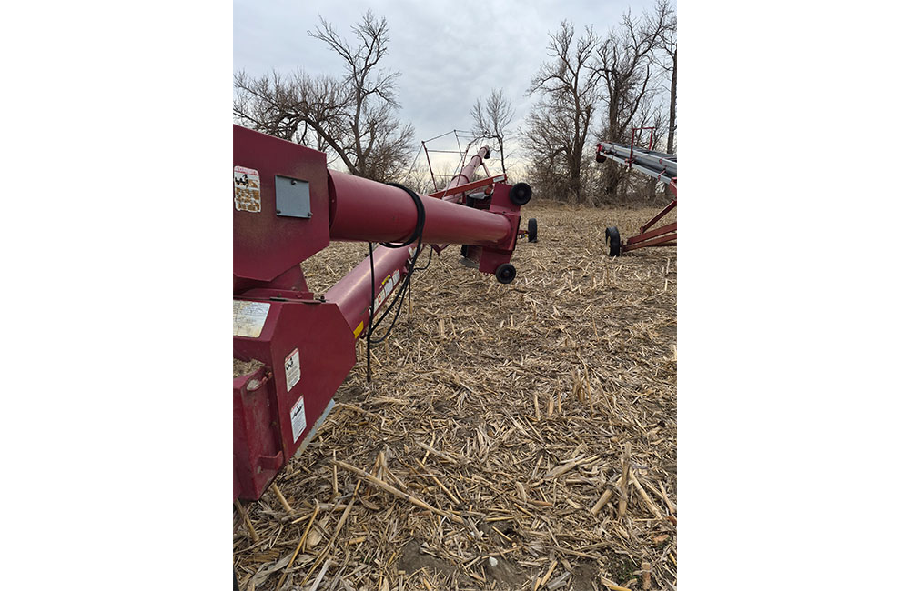 dm28_0040_20260209_123345