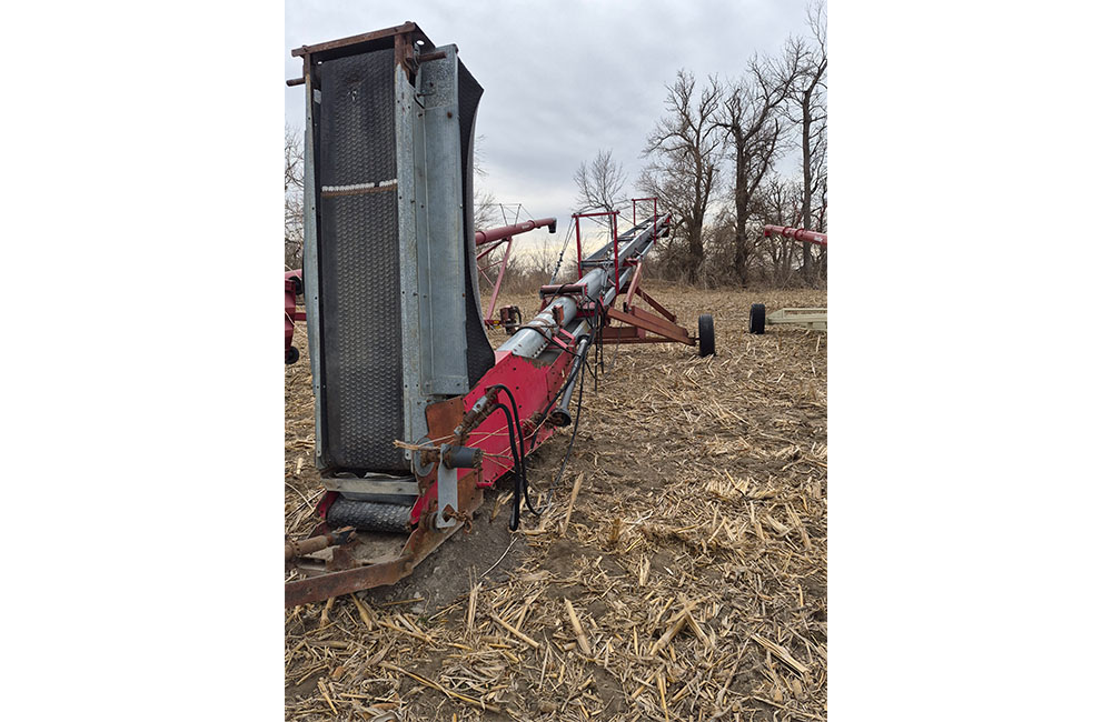 dm28_0041_20260209_123117