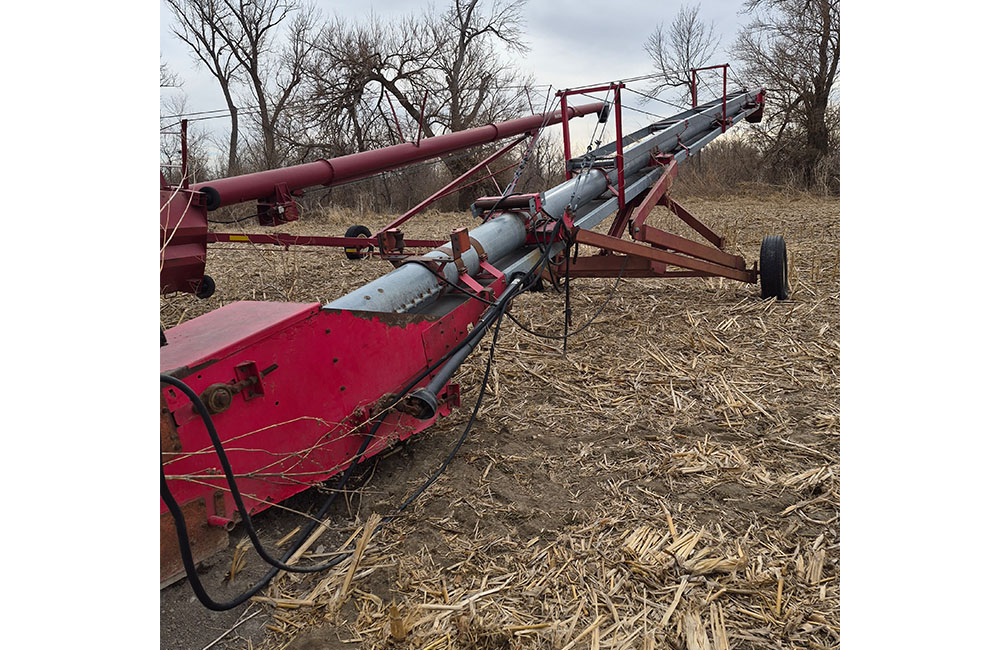 dm28_0042_20260209_123111