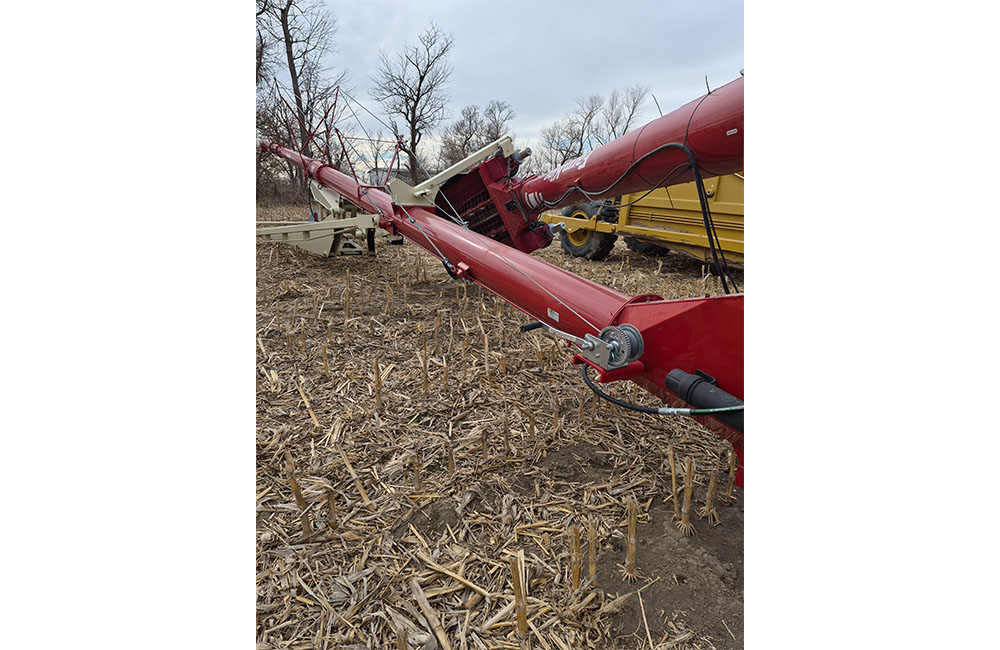 dm28_0044_20260209_123037