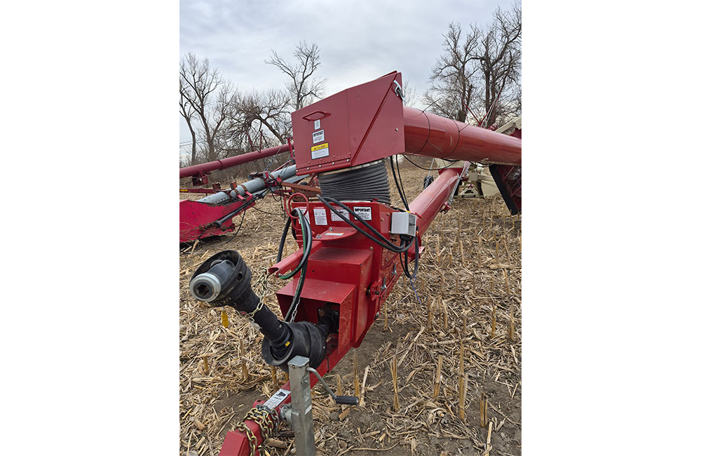 dm28_0046_20260209_122929