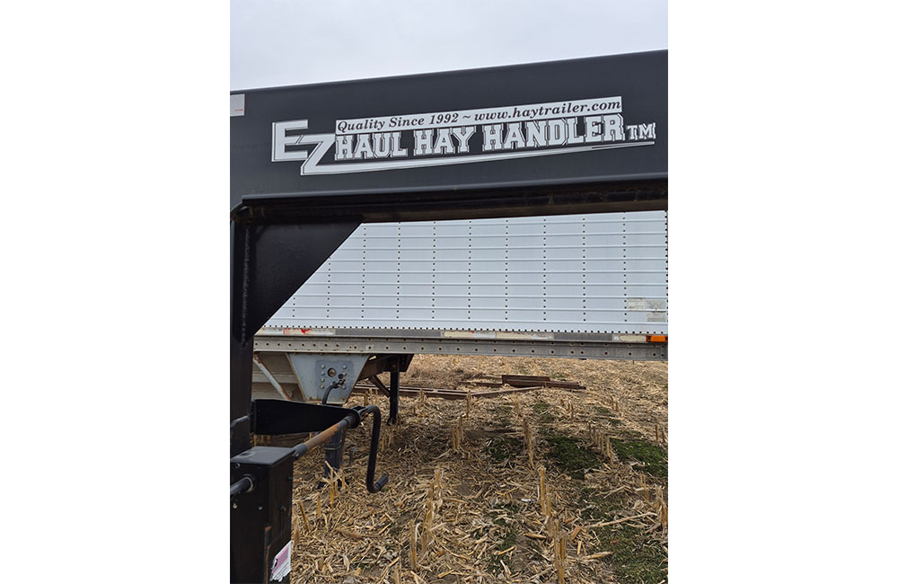 dm28_0049_20260209_122521