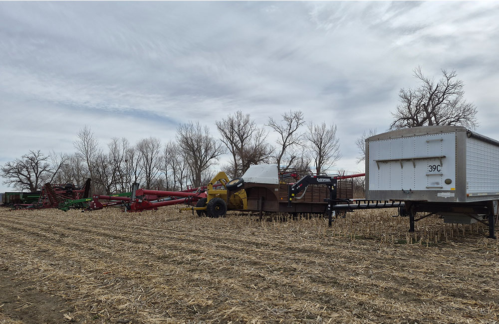 dm28_0050_20260209_122134