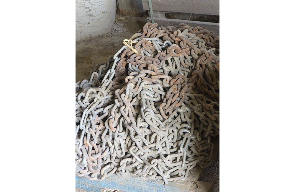 dm28_0055_20260209_111559