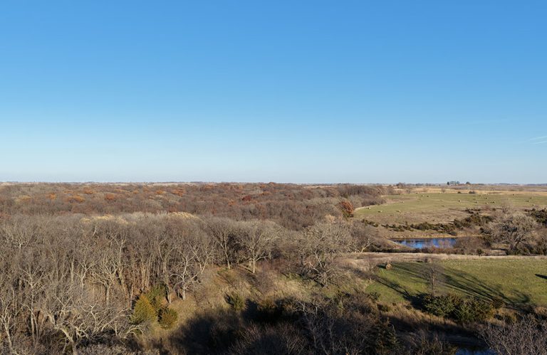 fs2_0007_DJI_20251116053606_0019_D