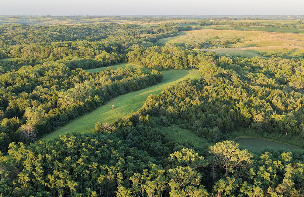7nmb_0006_DJI_20260718092200_0055_D