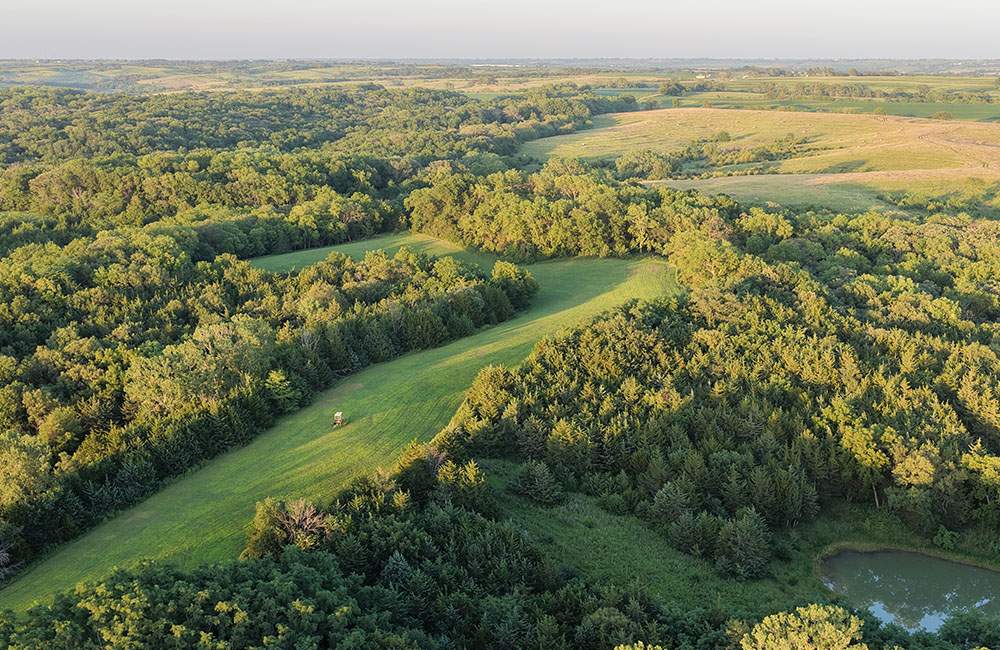 7nmb_0007_DJI_20260718092152_0054_D