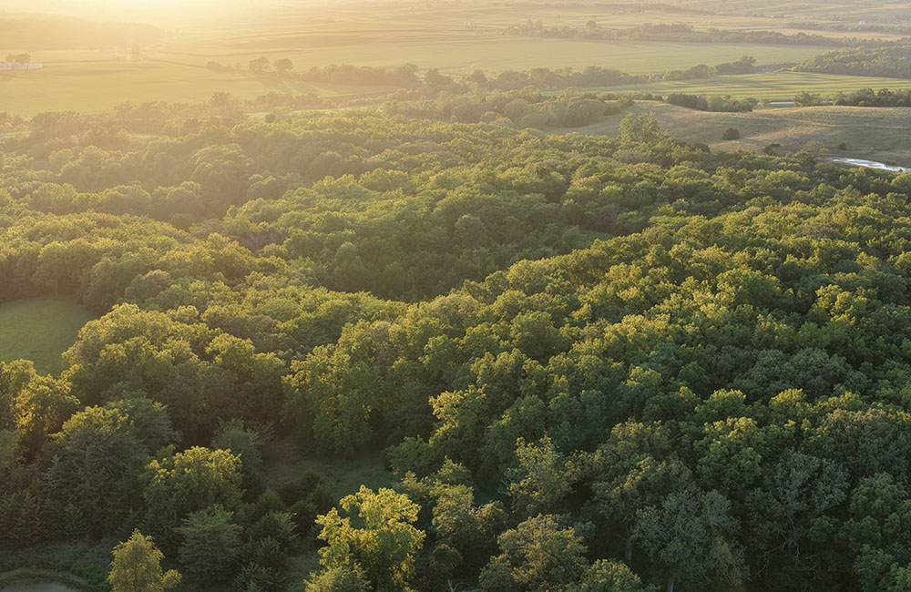 7nmb_0009_DJI_20260718092027_0051_D