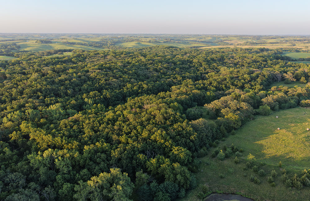 7nmb_0013_DJI_20260718091959_0047_D