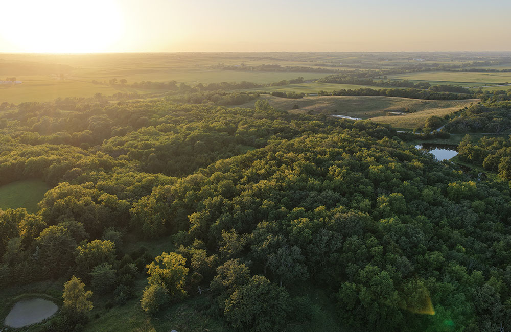 7nmb_0015_DJI_20260718091953_0045_D