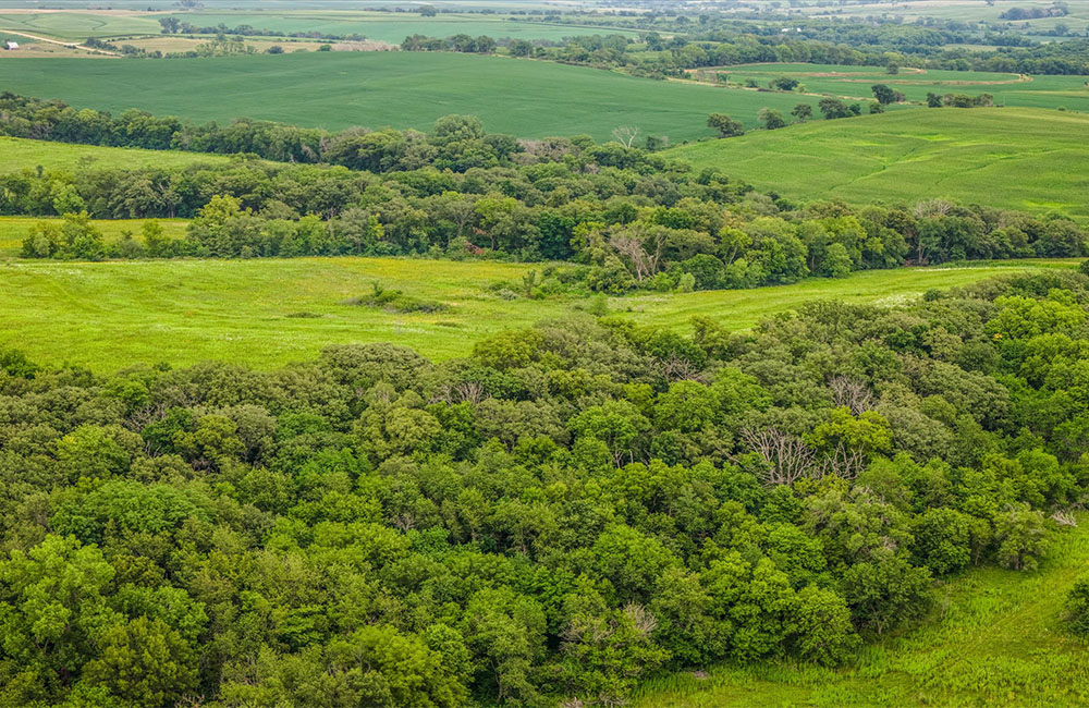 120acr_0006_09-DJI_20260722155422_0298_D.jpg