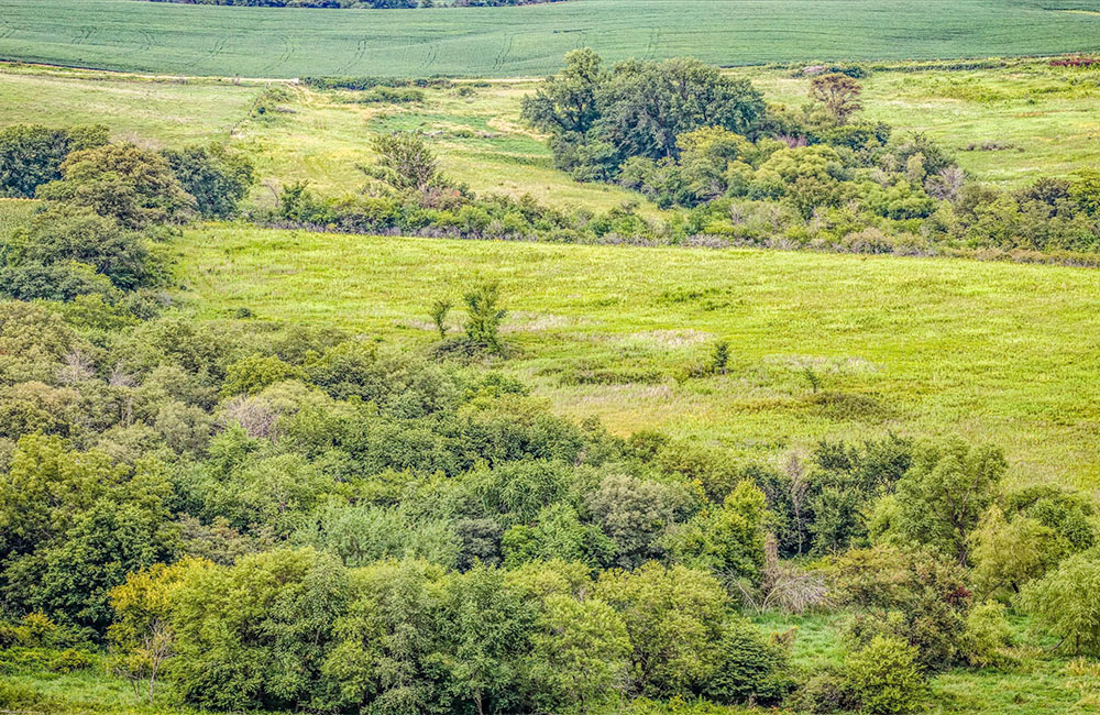 120acr_0009_11-DJI_20260722155526_0301_D.jpg