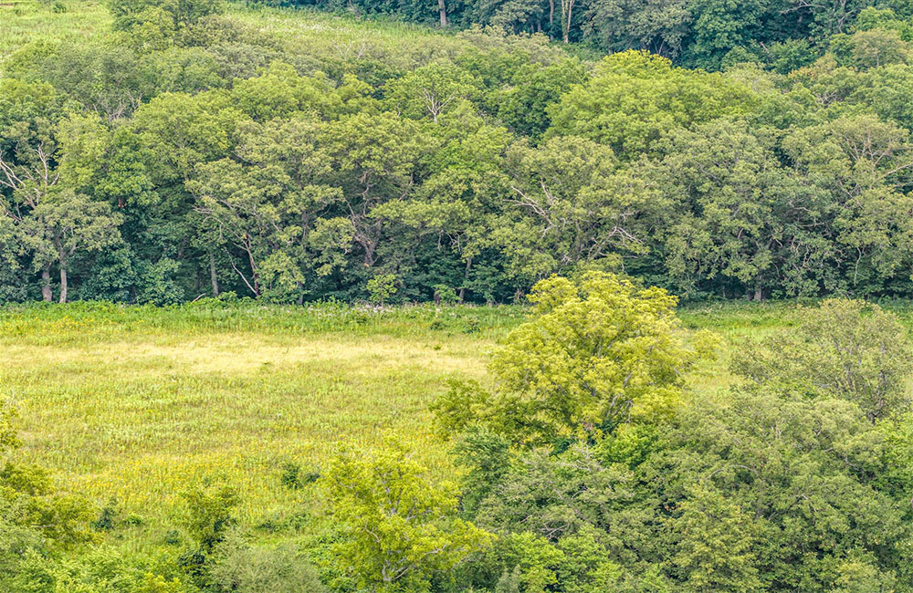 120acr_0010_12-DJI_20260722155538_0302_D.jpg