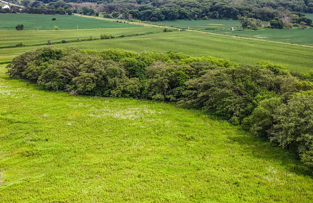 120acr_0011_13-DJI_20260722155616_0304_D.jpg