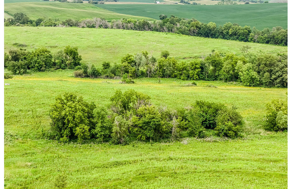 120acr_0012_14-DJI_20260722155624_0306_D.jpg