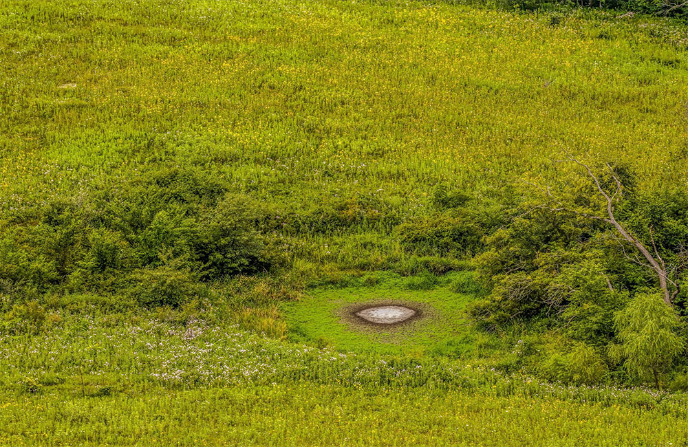 120acr_0018_23-DJI_20260722160324_0320_D.jpg