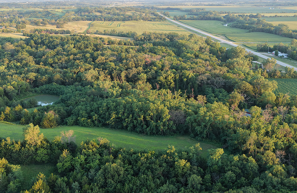 sep18-new1_0003_DJI_20260718092633_0068_D