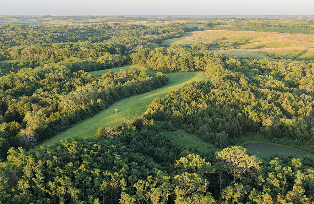 sep18-new1_0006_DJI_20260718092200_0055_D