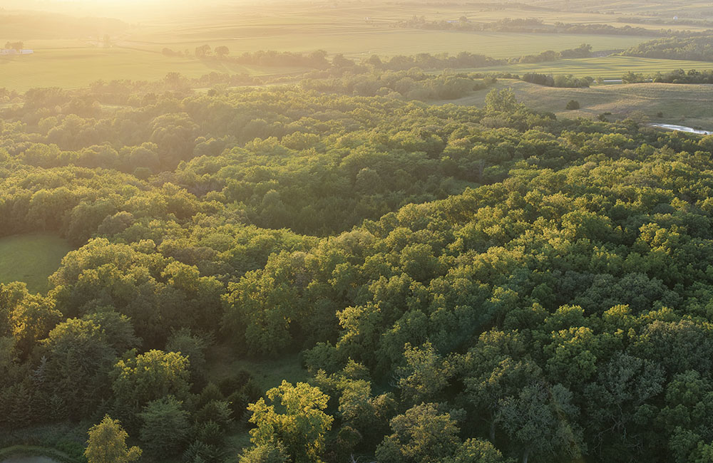sep18-new1_0009_DJI_20260718092027_0051_D