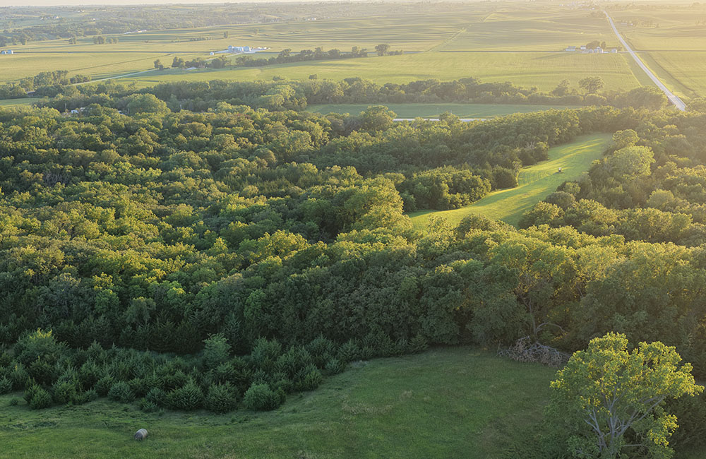 sep18-new1_0011_DJI_20260718092021_0049_D
