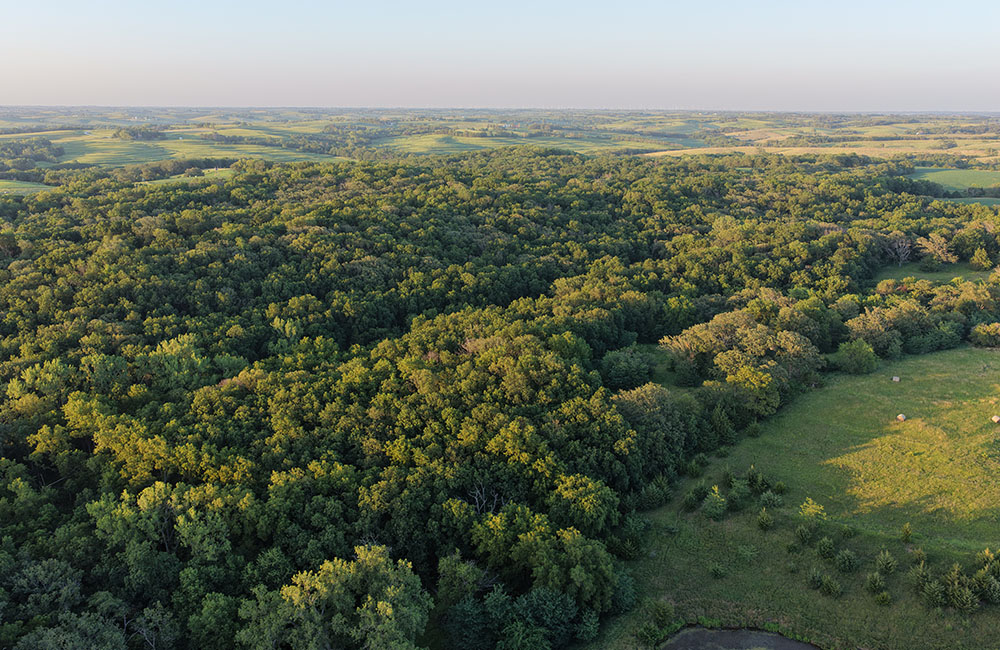 sep18-new1_0013_DJI_20260718091959_0047_D