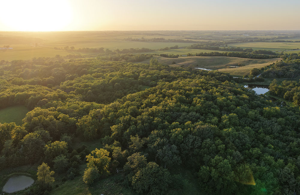 sep18-new1_0015_DJI_20260718091953_0045_D