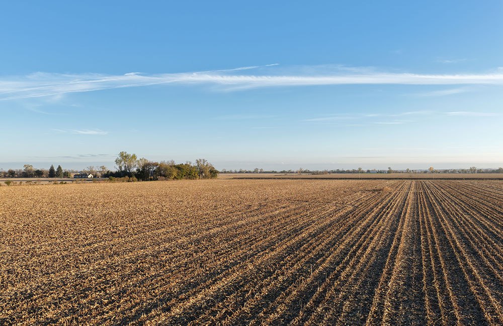 Dec-11_0010_DJI_20261030064006_0009_D